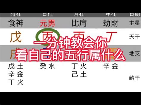 土命格|【土屬性】掌握土屬性命格，提升運勢：你的本質解析與注意事項。